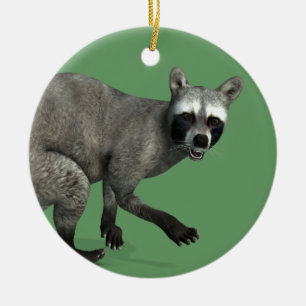 Ornamento De Cerâmica Raccoon surpreso