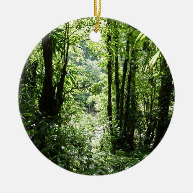 Ornamento De Cerâmica Rain Forest II Tropical Verde (Frente)