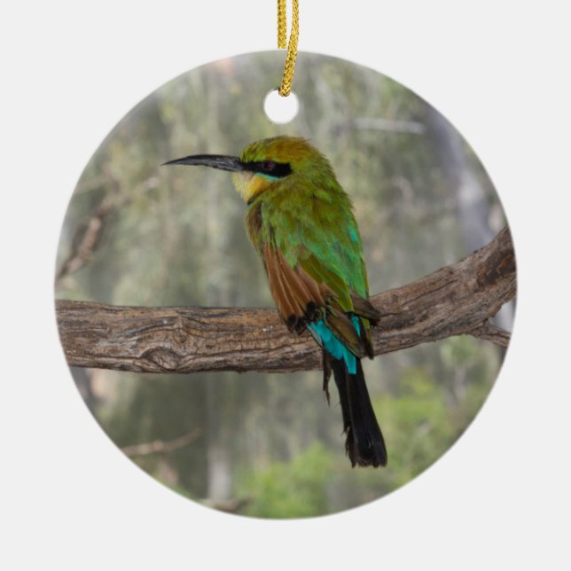 Ornamento De Cerâmica Rainbow bee eater bird, Austrália (Frente)