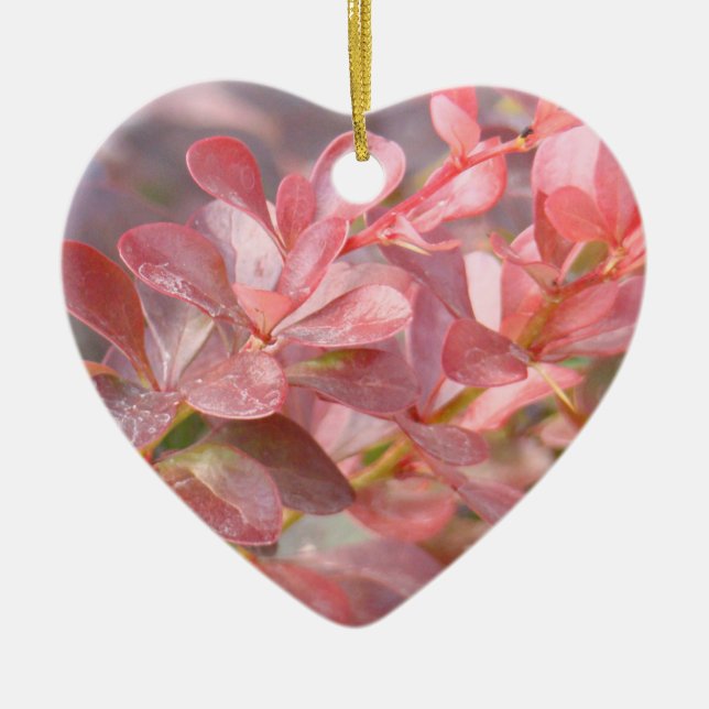 Ornamento De Cerâmica Ramificações bonito rosa (Frente)