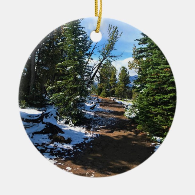 Ornamento De Cerâmica Rastreio no Monte Howard, OU (Frente)