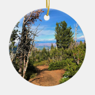 Ornamento De Cerâmica Rastreio no Monte Howard, OU