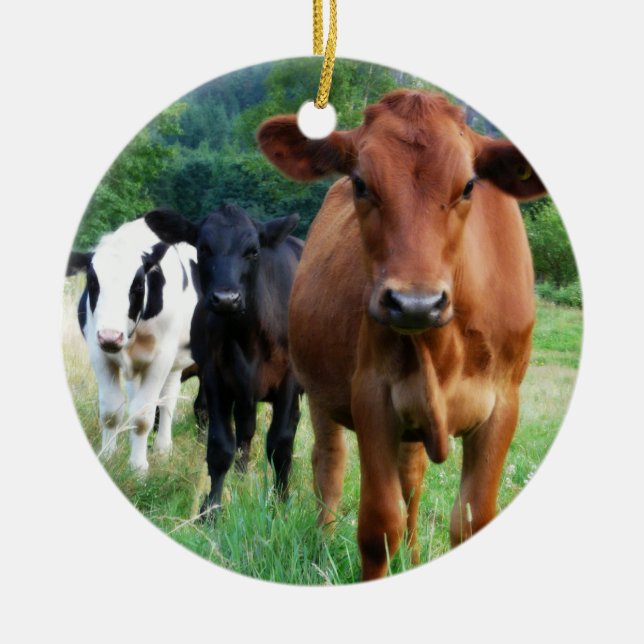 Ornamento De Cerâmica Rebanho pequeno de três vacas (Frente)