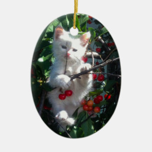 Ornamento De Cerâmica Recordação Gato da Família Foto 2 Lados