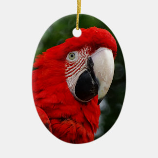 Ornamento De Cerâmica Red Macaw