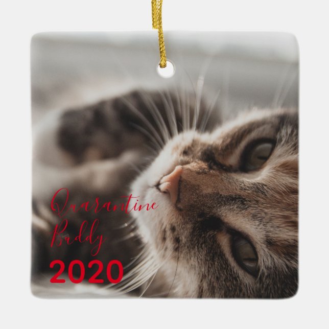 Ornamento De Cerâmica Red Merry Pawsmas Quarantine Buddy Cat Christmas (Frente)