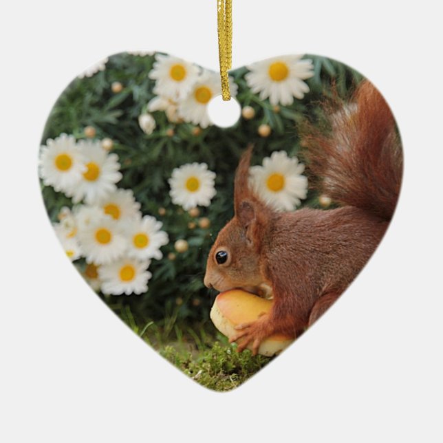 Ornamento De Cerâmica Red Squirrel and Daisies Cute Photo (Frente)