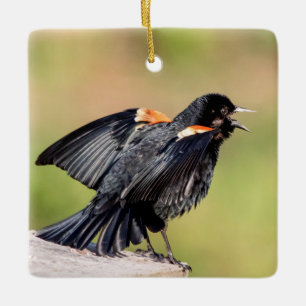 Ornamento De Cerâmica Red Winged Blackbird Singing