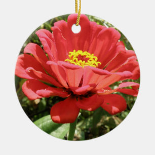 Ornamento De Cerâmica Red Zinnia Custom Birthday