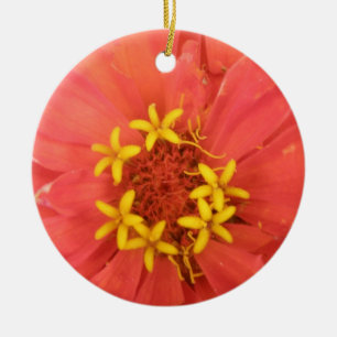 Ornamento De Cerâmica Red Zinnia Macro Custom Birthday