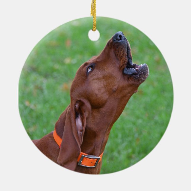 Ornamento De Cerâmica Redbone Coonhound (Traseira)