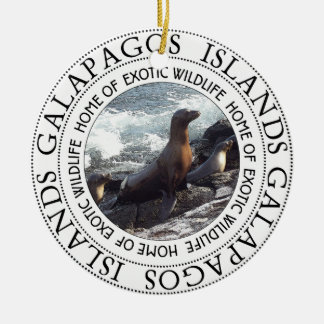 ORNAMENTO DE CERÂMICA REDES DE GALAPAGOS