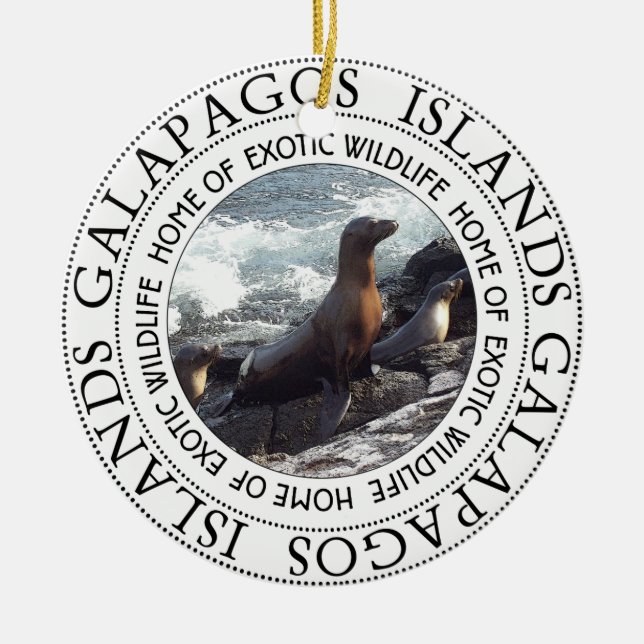 ORNAMENTO DE CERÂMICA REDES DE GALAPAGOS (Frente)