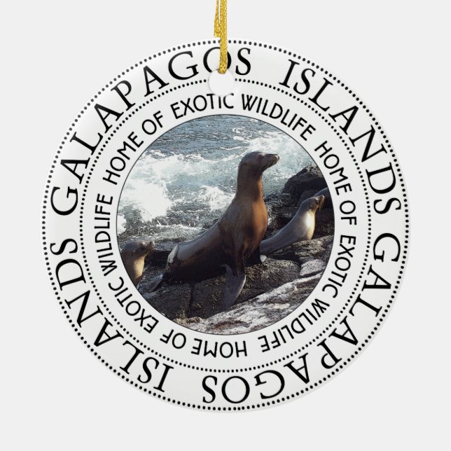 ORNAMENTO DE CERÂMICA REDES DE GALAPAGOS (Traseira)