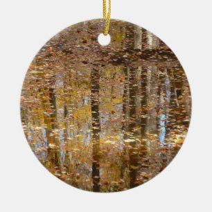 Ornamento De Cerâmica Reflexo no Still Creek no Greenbelt Park