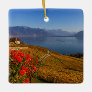 Ornamento De Cerâmica Região de Lavaux, Vaud, suiça