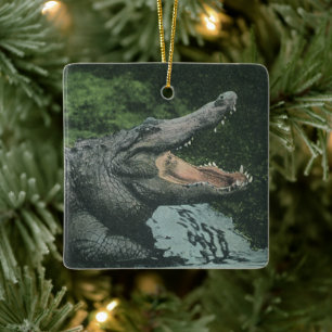 Ornamento De Cerâmica Répteis Crocodilos, Vida Animal Marinha Vintage