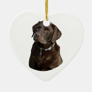 Ornamento De Cerâmica Retrato da foto do cão de Labrador do chocolate