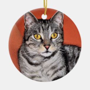 Ornamento De Cerâmica Retrato de Gato de Cinza