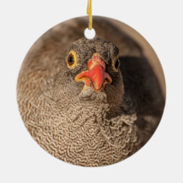 Ornamento De Cerâmica Retrato de uma Galinha-d'água