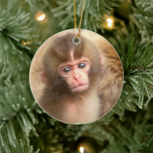 Ornamento De Cerâmica Retrato do Bebê Macaco da Neve