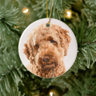 Ornamento De Cerâmica Retrato do Goldendoodle Studio