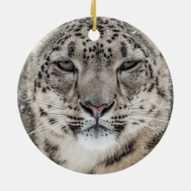 Ornamento De Cerâmica Retrato do Leopardo da Neve (Traseira)