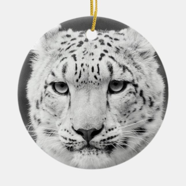 Ornamento De Cerâmica Retrato preto e branco bonito do leopardo de neve (Frente)