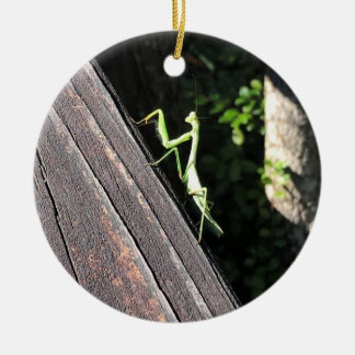 Ornamento De Cerâmica Rezando Mantis