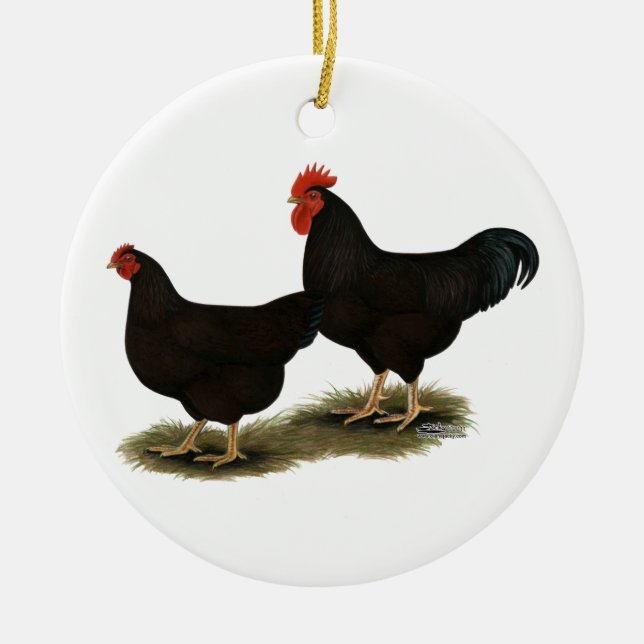 Ornamento De Cerâmica Rhode Island Red Bantams (Frente)