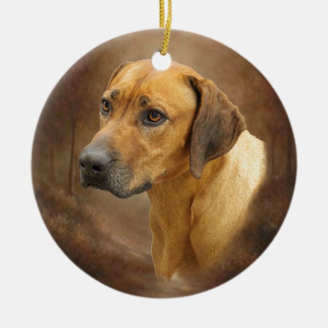 Ornamento De Cerâmica Rhodesian Ridgeback (Frente)