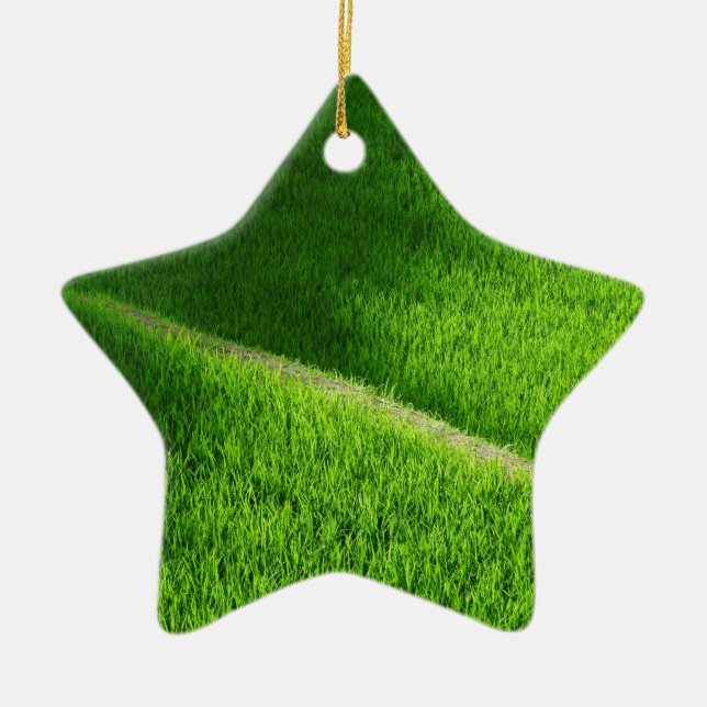 Ornamento De Cerâmica Rice Terraces Yamada's Rice Fields Japão (Frente)