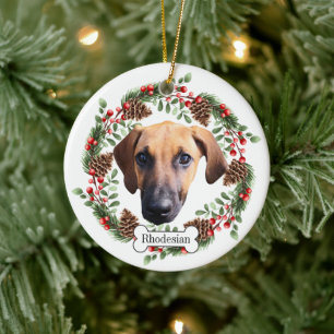 Ornamento De Cerâmica Ridgeback Ridgeback cão Personalizado de Pet