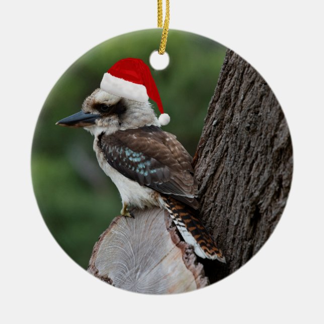 Ornamento De Cerâmica Rindo Kookaburra Pássaro Natal Red Santa Hat (Frente)