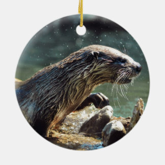Ornamento De Cerâmica Rio Otter Animal-lover Foto da vida selvagem