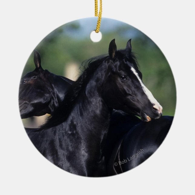 Ornamento De Cerâmica Risco árabe do cavalo (Frente)