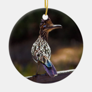 Ornamento De Cerâmica Roadrunner