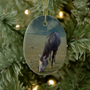 Ornamento De Cerâmica Roan Horse Grazing Em Paddock
