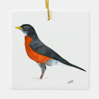 Ornamento De Cerâmica Robin Americano