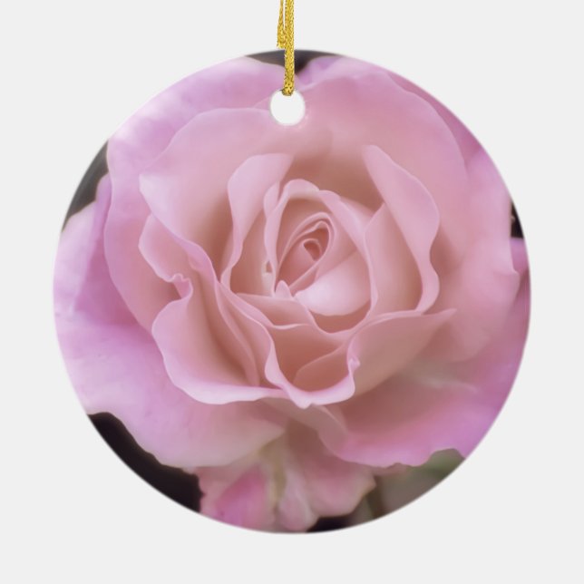 Ornamento De Cerâmica Rosa rosa magnífica (Traseira)