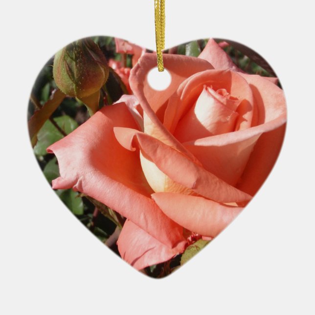 Ornamento De Cerâmica Rosa Rosa Peachada (Frente)