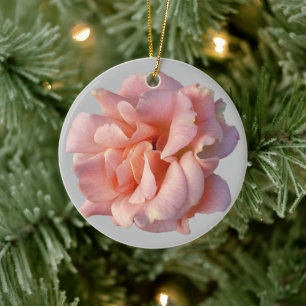 Ornamento De Cerâmica rosa rosa rosa florescente