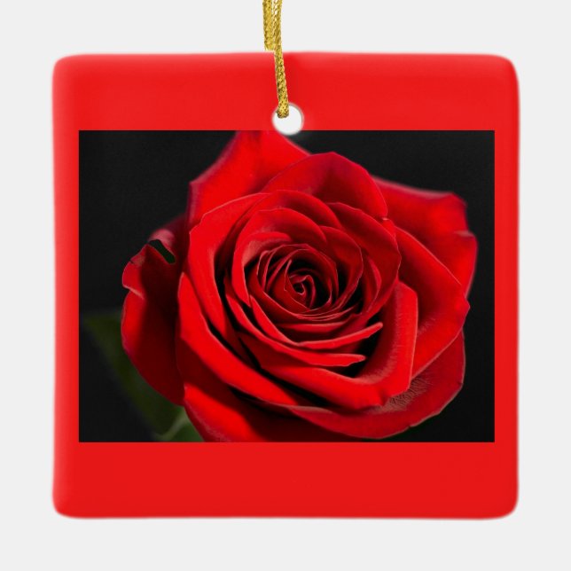 Ornamento De Cerâmica Rosa vermelha romântica festiva (Frente)