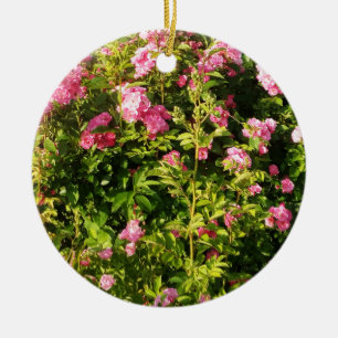 Ornamento De Cerâmica Rosas rosa na floração