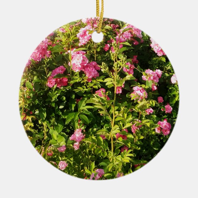 Ornamento De Cerâmica Rosas rosa na floração (Frente)