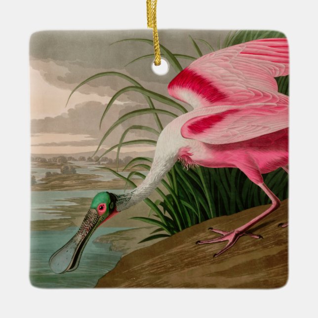 Ornamento De Cerâmica Roseate Spoonbill Birds, Impressão da América Audu (Frente)