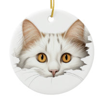 ROSTO DE GATO BRANCO ADORÁVEL