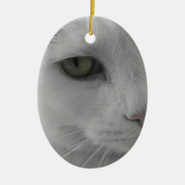 Ornamento De Cerâmica Rostos de gatos pretos e brancos