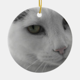 Ornamento De Cerâmica Rostos de gatos pretos e brancos