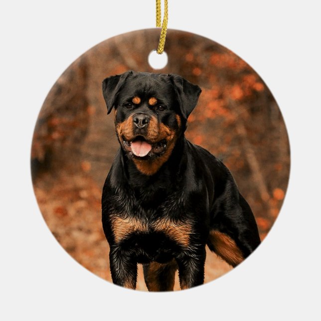 Ornamento De Cerâmica Rottweiler (Frente)